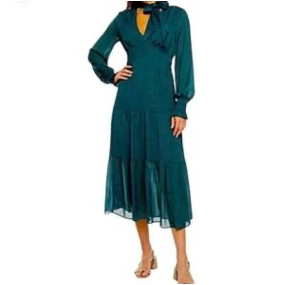 Ryegrass Swiss Dot Long Sleeve Lined Party Dress Size XXL Green
